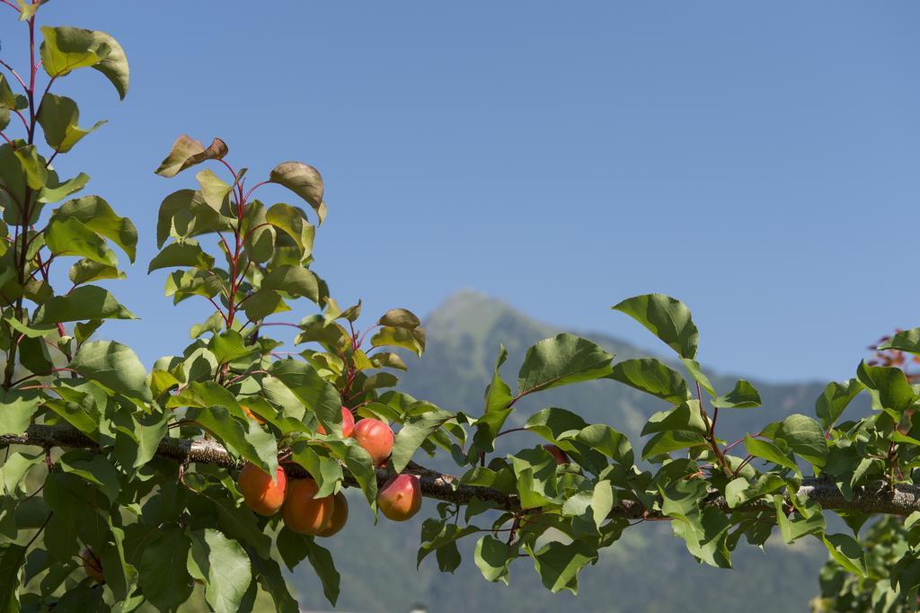 Pension Etschland Tirolo Bagian luar foto